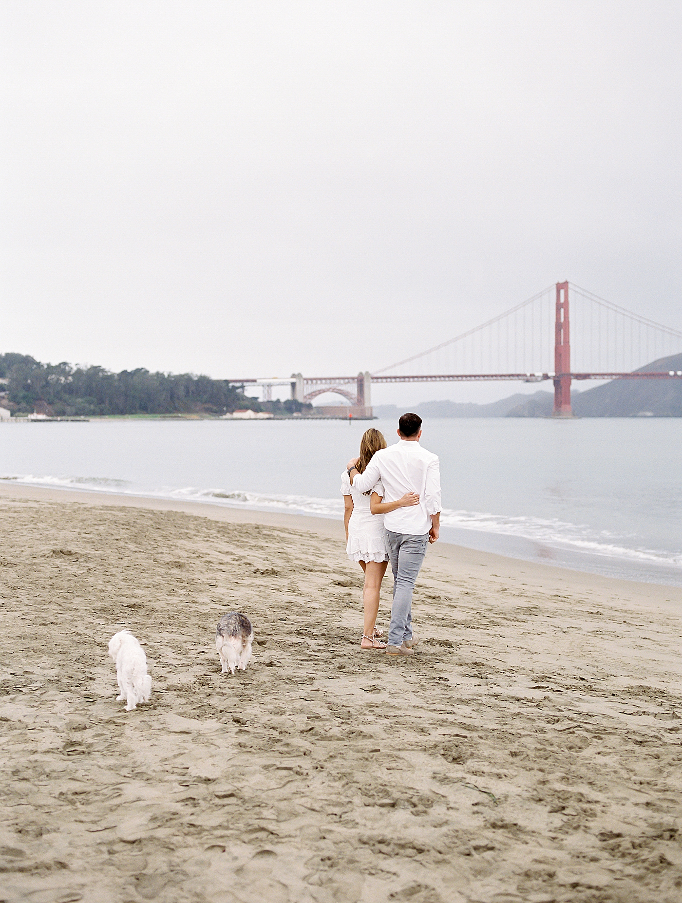 Couple walking together with their dogs near San Francisco Bay | Photo by Diane Sotero