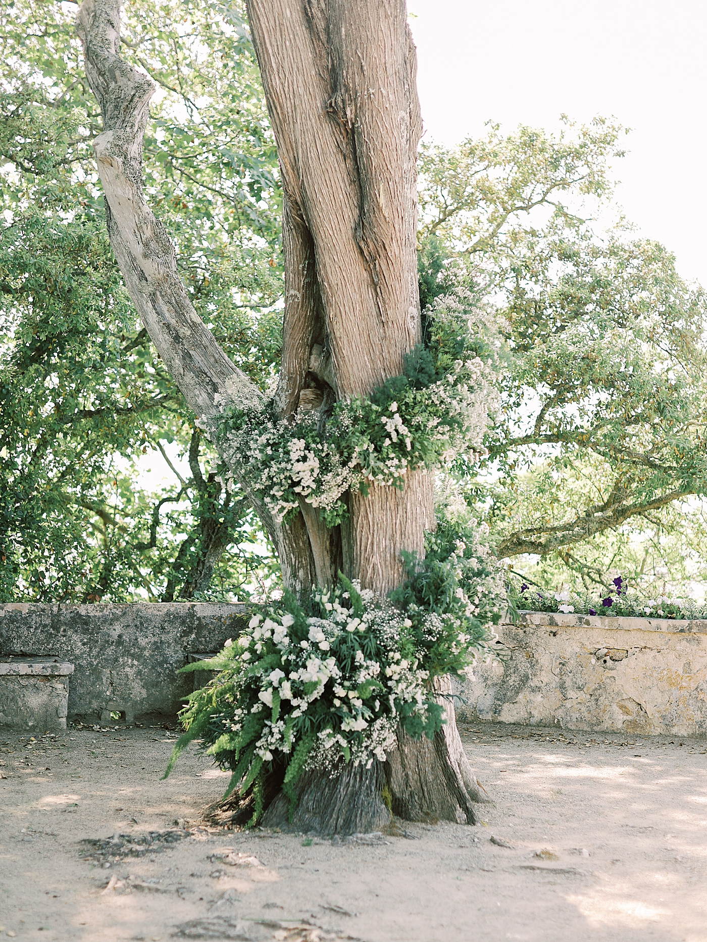 Wedding ceremony location with flowers around a tree | Image by Diane Sotero Photography